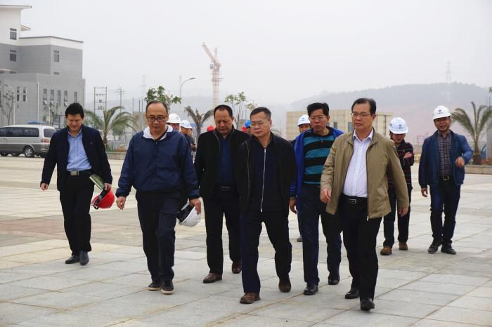 5.吴锡熹一行在项目落成区进行实地观察。谢微旋 摄700.jpg