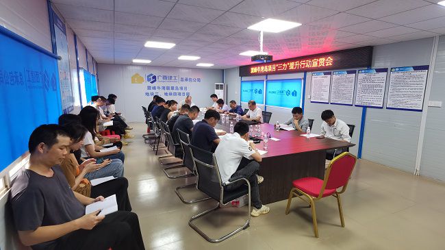 分公司党支部书记、副总经理胡海云深刻牛湾岛项目宣贯《“三力”提升行动》；平ㄊ 摄建图）.jpg